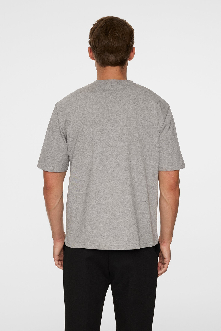 hale seasonal logo t-shirt